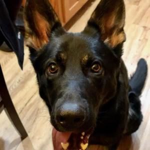 Meet your Posher, Jackie